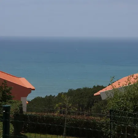 Praia Sao Juliao Surf Ericeira